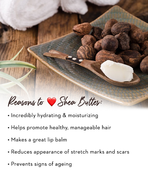 5 benefits of shea butter: Why it can be magical for the skin
