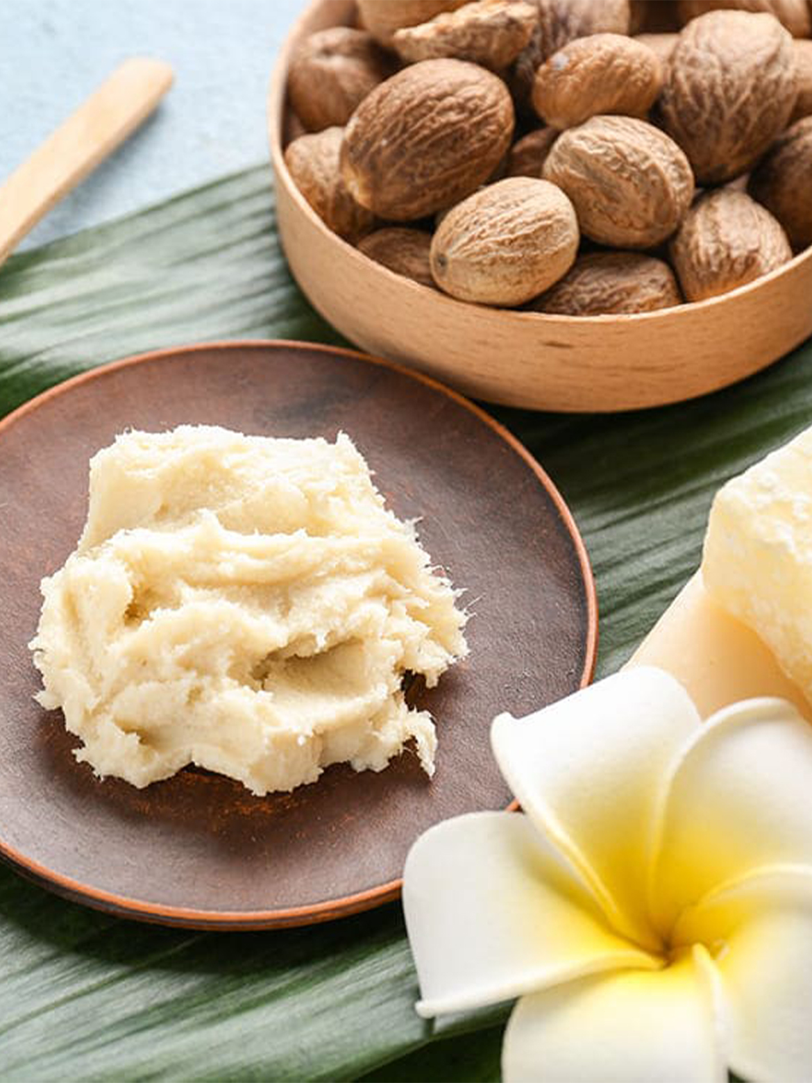 Benefits Of Shea Butter For Skin And Hair - SUGAR Cosmetics