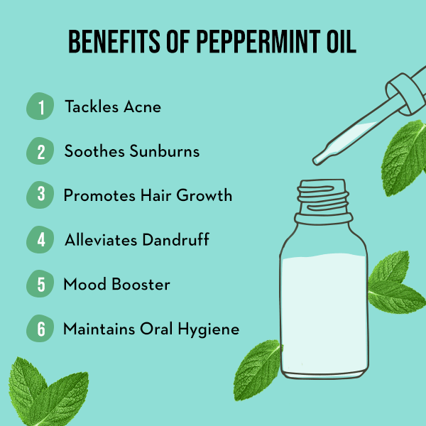 Peppermint oil uses and benefits for beauty, health and home cleanliness
