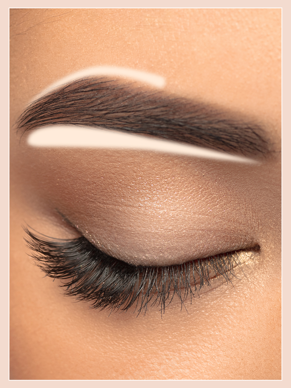 SHAPE SHOP  Elevate Your Eyebrows